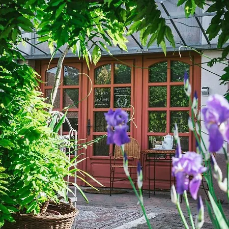 V I O L E T T E La Souris Des Champs *