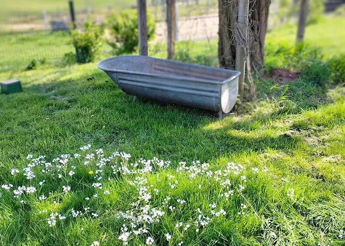 V I O L E T T E La Souris Des Champs Apartment