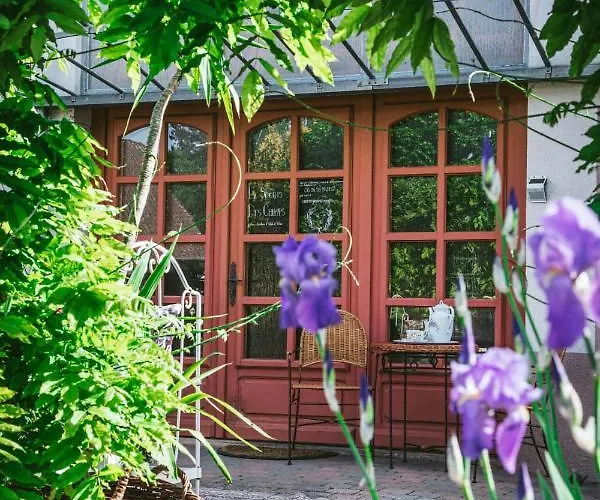 V I O L E T T E La Souris Des Champs *